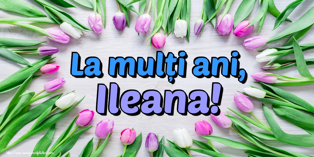 La mulți ani, Ileana!