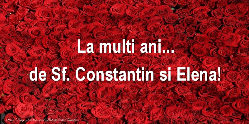 La multi ani... de Sf. Constantin si Elena!