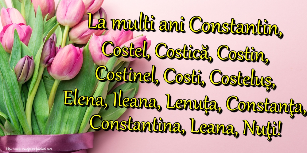 La multi ani Constantin, Costel, Costică, Costin, Costinel, Costi, Costeluş, Elena, Ileana, Lenuţa, Constanţa, Constantina, Leana, Nuţi!