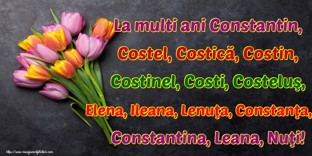 La multi ani Constantin, Costel, Costică, Costin, Costinel, Costi, Costeluş, Elena, Ileana, Lenuţa, Constanţa, Constantina, Leana, Nuţi!