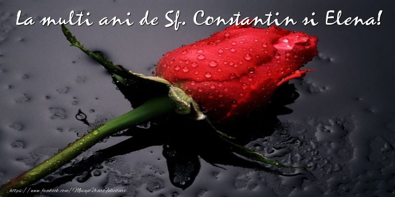La multi ani de Sf. Constantin si Elena!