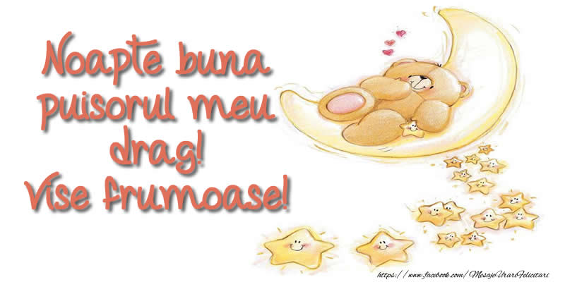Noapte buna puisorul meu drag! Vise frumoase!