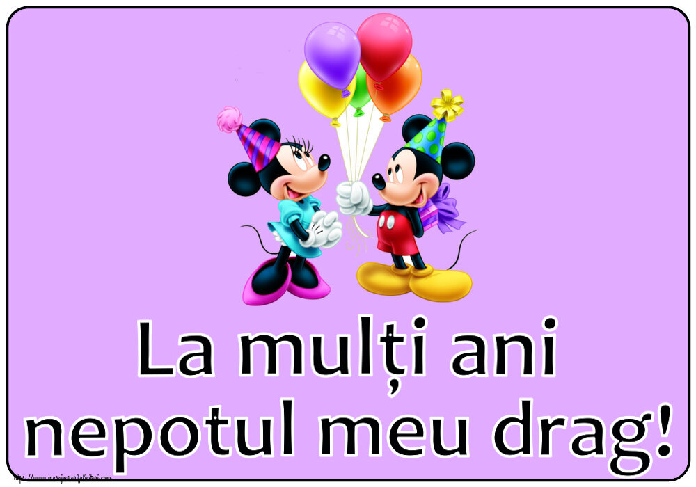 La mulți ani nepotul meu drag! ~ Mickey și Minnie mouse