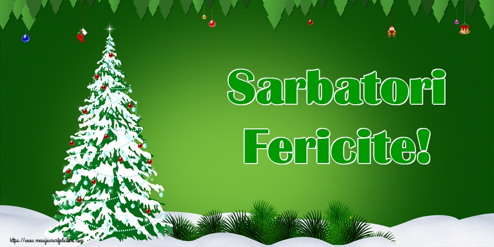 Sarbatori Fericite!