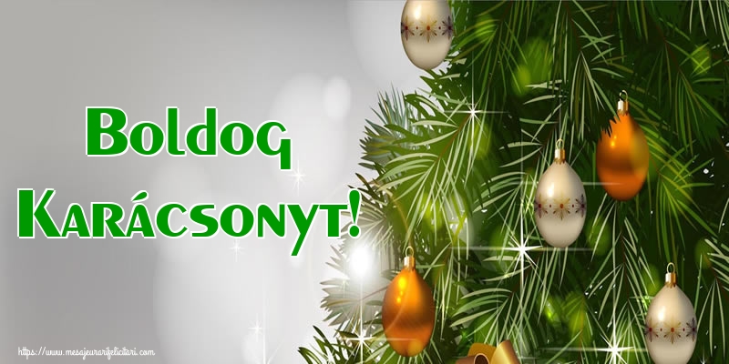 Felicitari de Craciun in Maghiara - Boldog Karácsonyt!