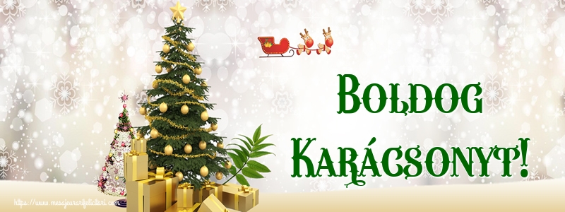 Felicitari de Craciun in Maghiara - Boldog Karácsonyt!
