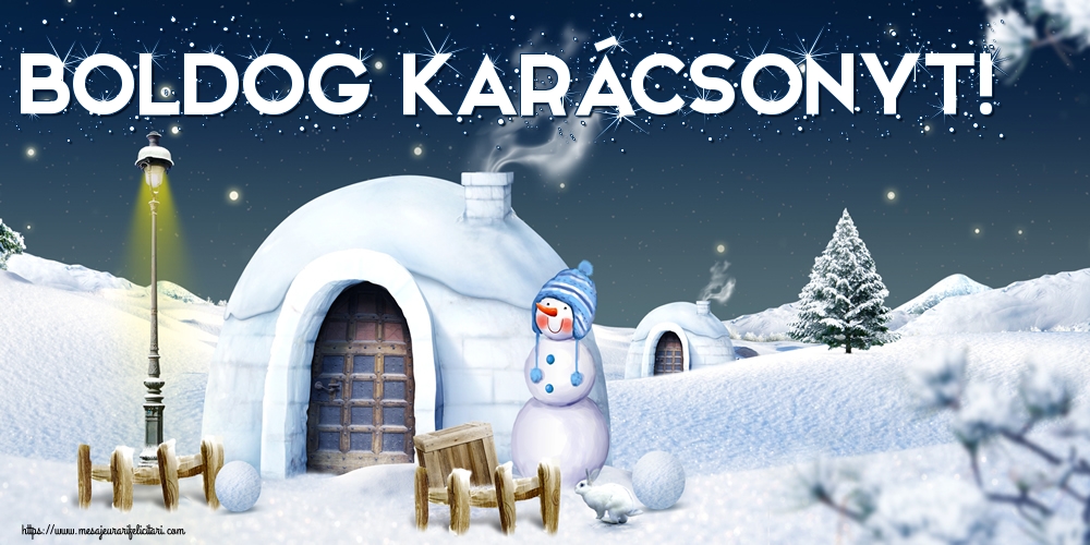 Felicitari de Craciun in Maghiara - Boldog Karácsonyt!