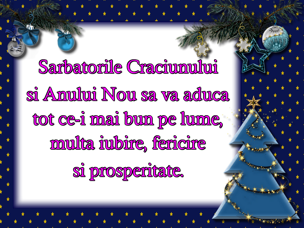 Sarbatorile Craciunului si Anului Nou sa va aduca tot ce-i mai bun pe lume, multa iubire, fericire si prosperitate.