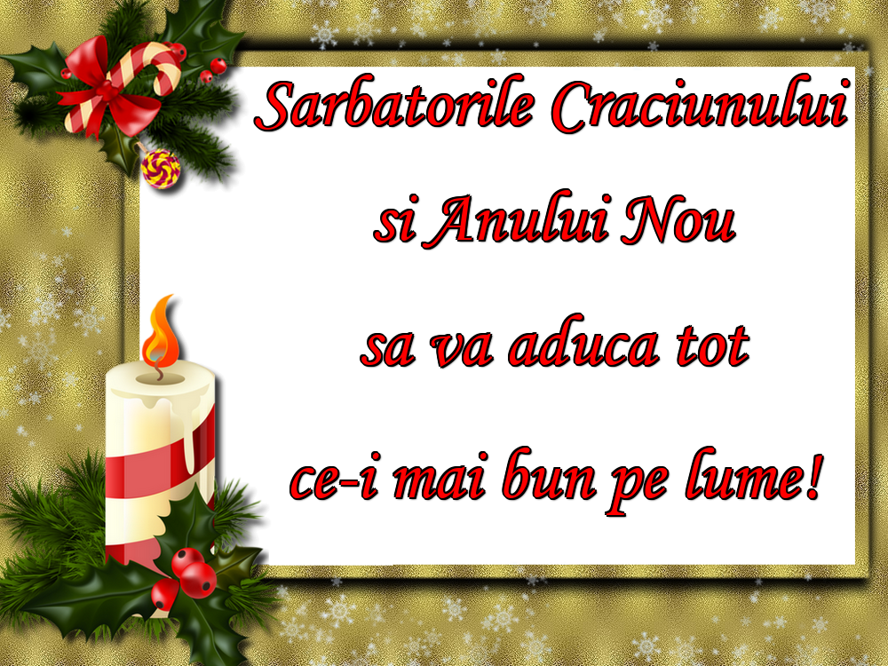 Sarbatorile Craciunului si Anului Nou sa va aduca tot ce-i mai bun pe lume!