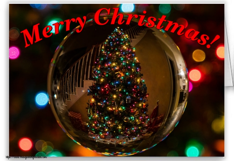 Felicitari de Craciun in Engleza - Merry Christmas!