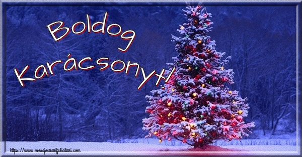 Felicitari de Craciun in Maghiara - Boldog Karácsonyt!