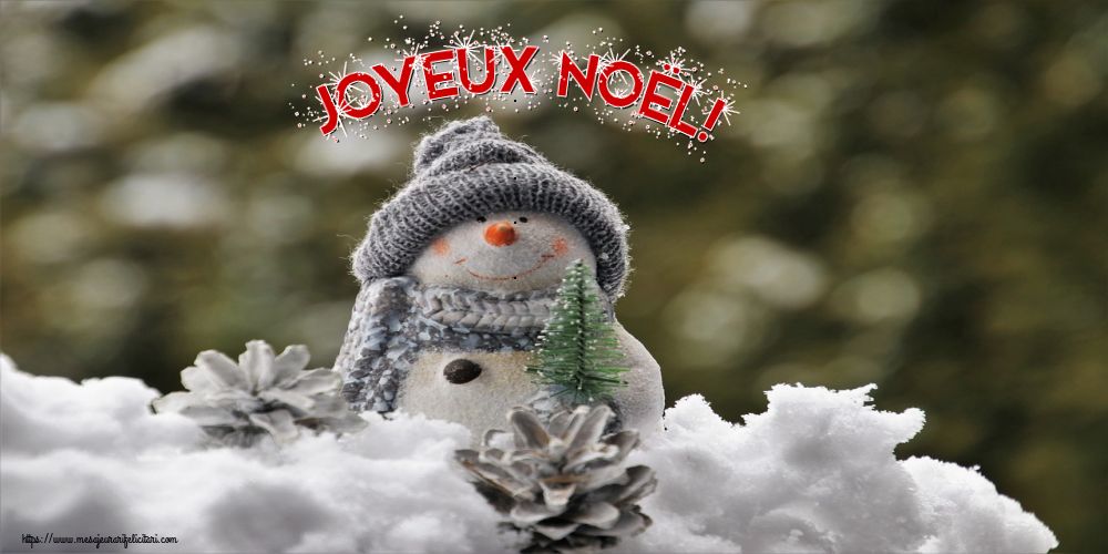 Felicitari de Craciun in Franceza - Joyeux Noël!