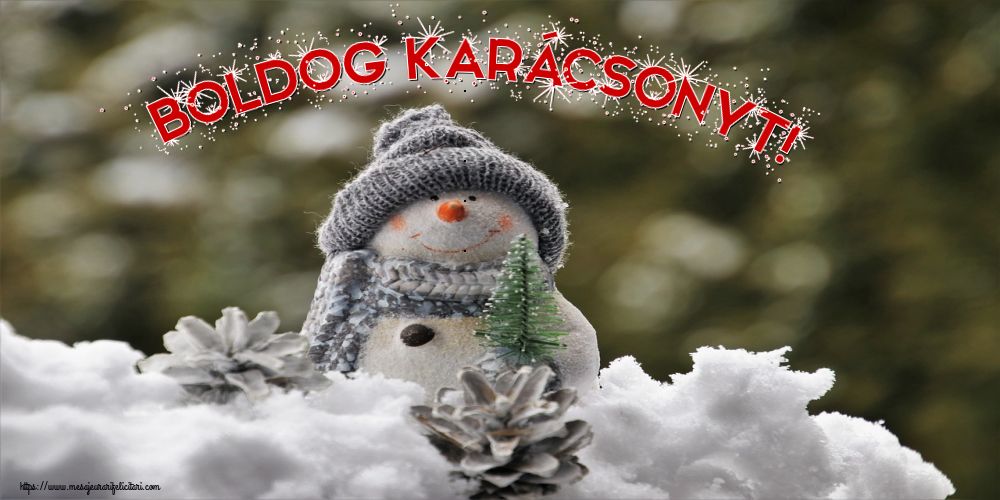 Felicitari de Craciun in Maghiara - Boldog Karácsonyt!