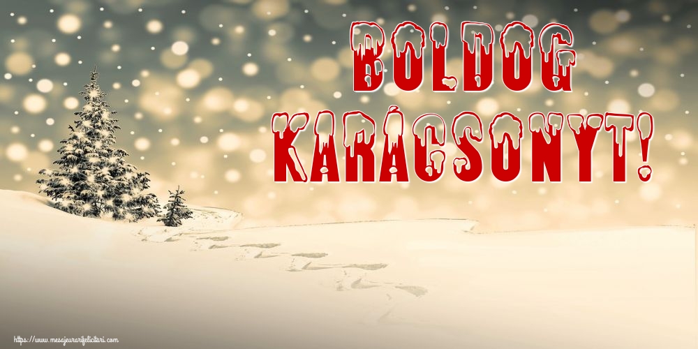 Felicitari de Craciun in Maghiara - Boldog Karácsonyt!