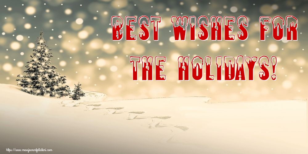 Felicitari de Craciun in Engleza - Best wishes for the Holidays!