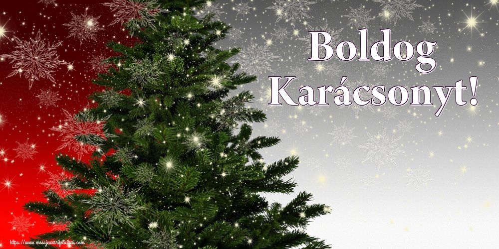 Felicitari de Craciun in Maghiara - Boldog Karácsonyt!