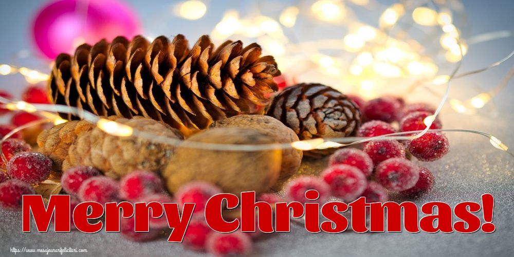 Felicitari de Craciun in Engleza - Merry Christmas!