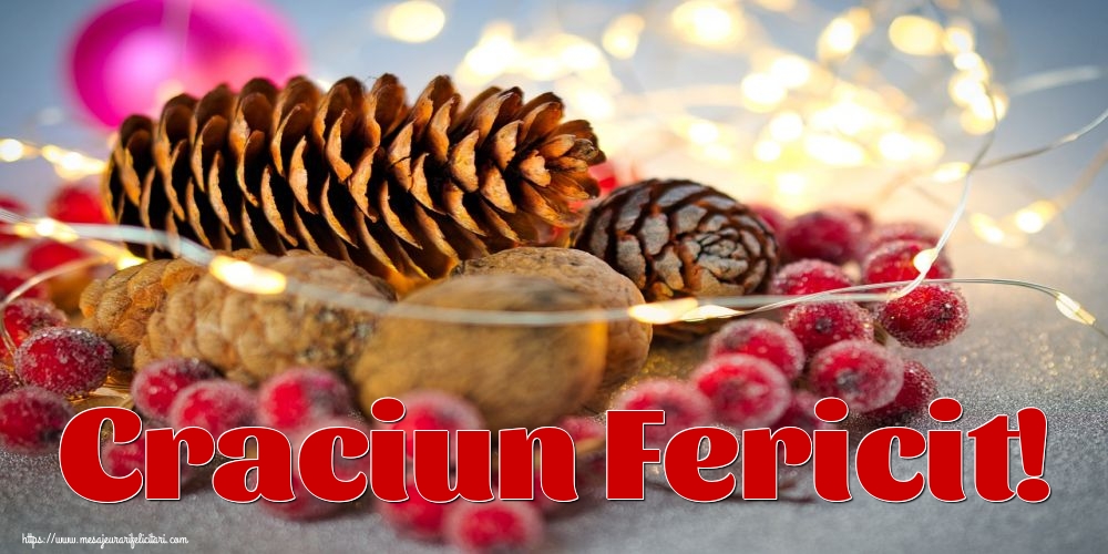 Felicitari de Craciun - Craciun Fericit! - mesajeurarifelicitari.com