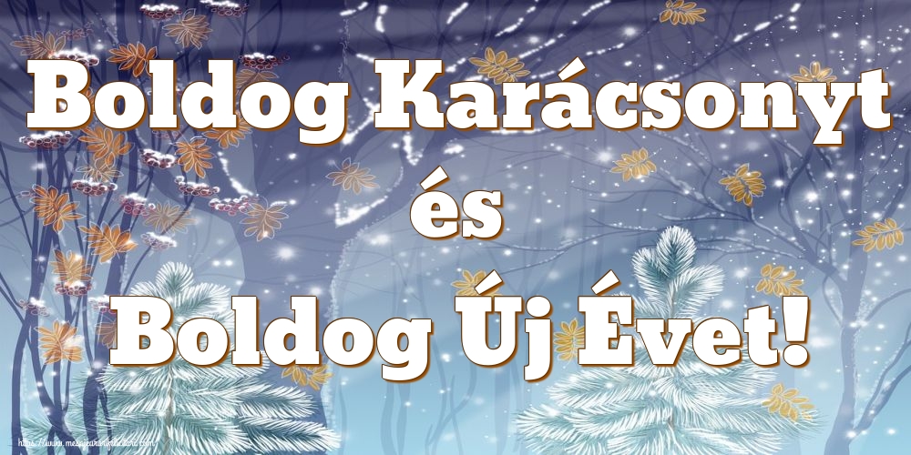 Craciun in Maghiara - Boldog Karácsonyt és Boldog Új Évet!