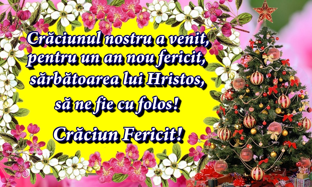 Felicitari de Craciun - Crăciunul nostru a venit, pentru un an nou fericit, sărbătoarea lui Hristos, să ne fie cu folos! Crăciun Fericit! - mesajeurarifelicitari.com