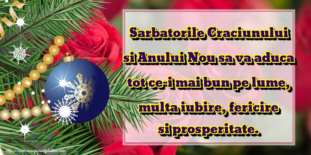 Sarbatorile Craciunului si Anului Nou sa va aduca tot ce-i mai bun pe lume, multa iubire, fericire si prosperitate.