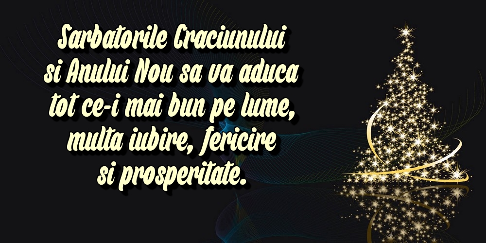 Sarbatorile Craciunului si Anului Nou sa va aduca tot ce-i mai bun pe lume, multa iubire, fericire si prosperitate.