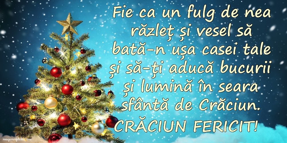 Crăciun Fericit!