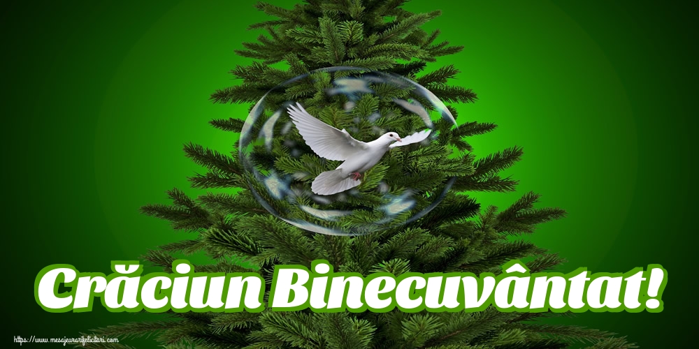 Craciun Crăciun Binecuvântat!