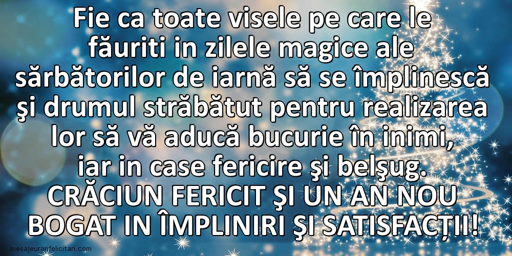 Crăciun fericit şi un An Nou bogat in împliniri şi satisfacții!