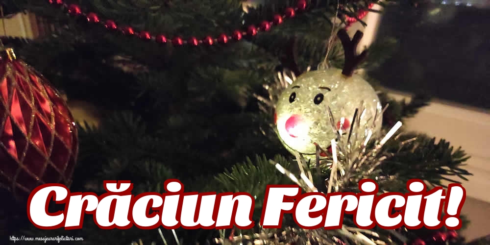 Crăciun Fericit!
