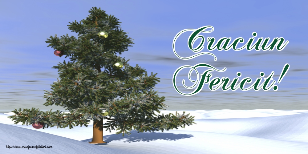 Craciun Fericit!