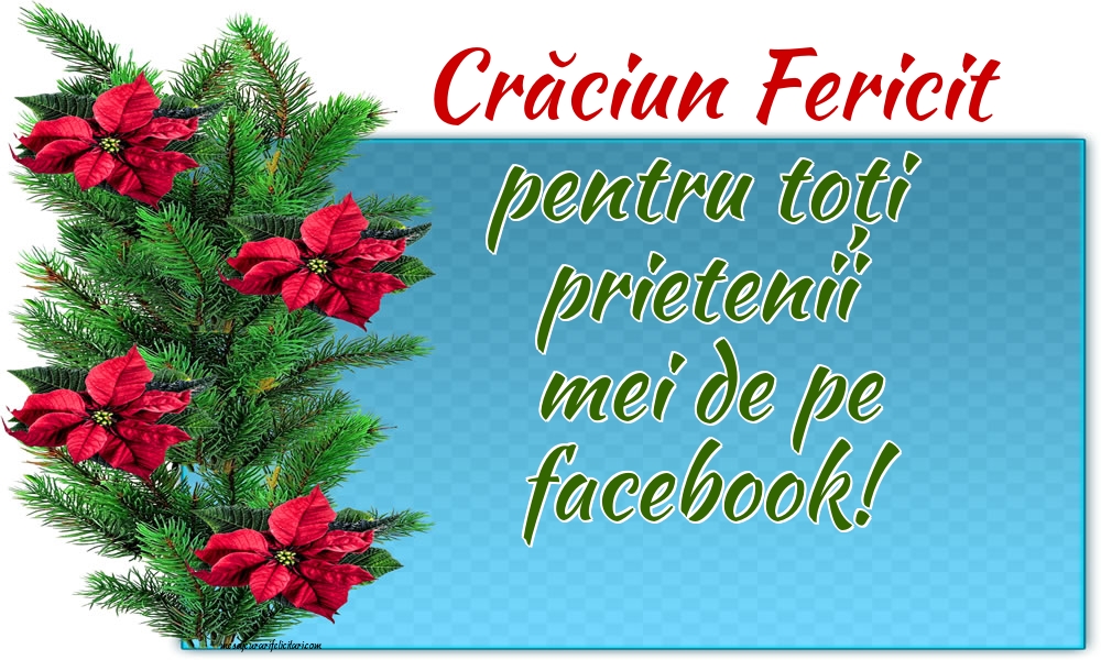 Crăciun Fericit pentru toți prietenii mei de pe facebook!