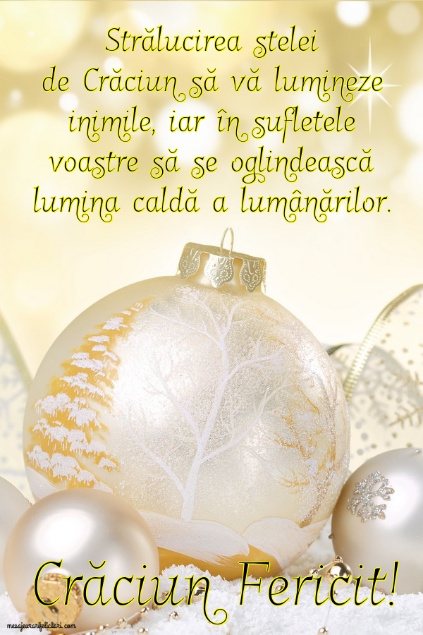 Crăciun Fericit!