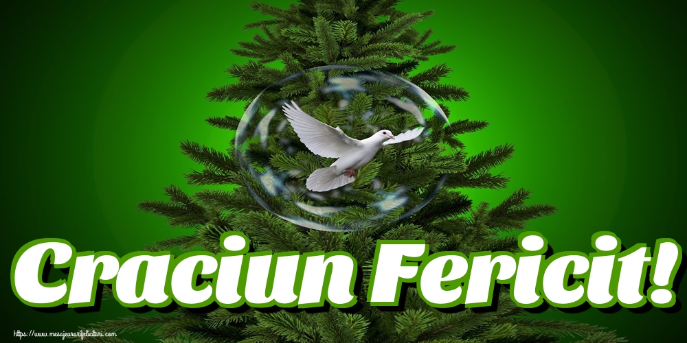 Craciun Fericit!