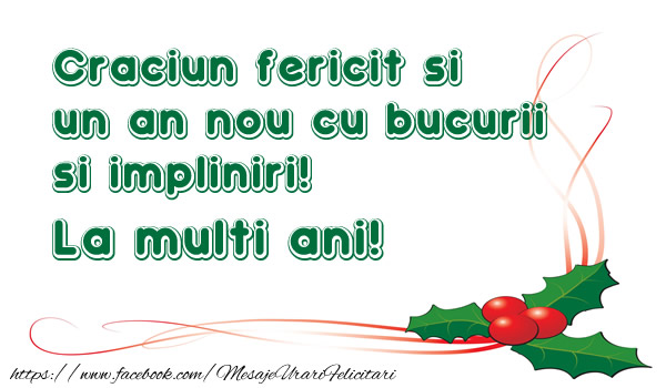 Craciun Fericit si un an nou cu bucurii si impliniri! La multi ani!