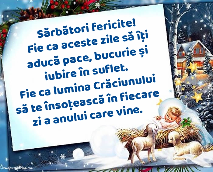 Fie ca lumina Crăciunului să te însoțească în fiecare zi a anului care vine.