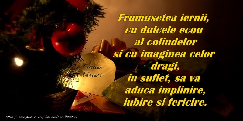 Frumusetea iernii, cu dulcele ecou al colindelor si cu imaginea celor dragi in suflet , sa va aduca implinire, iubire si fericire!