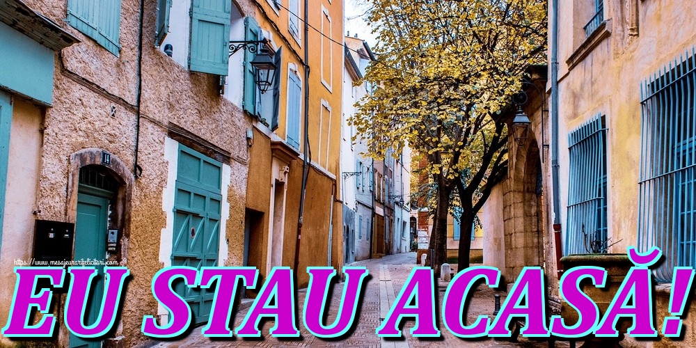 EU STAU ACASĂ!