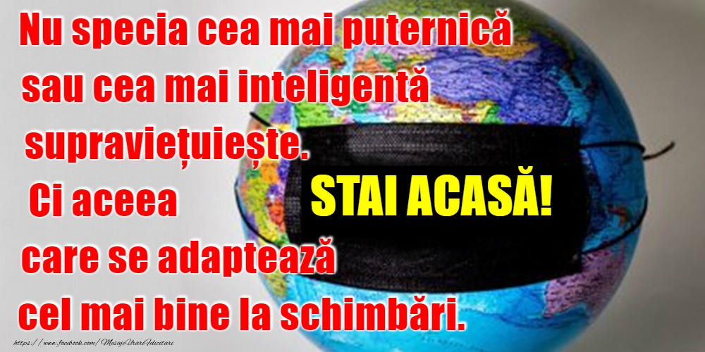 Stai acasă!