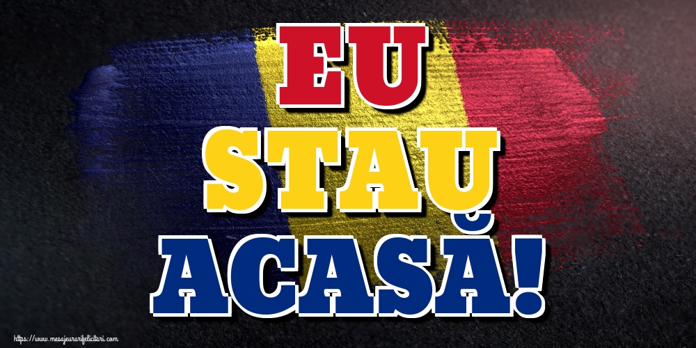EU STAU ACASĂ!
