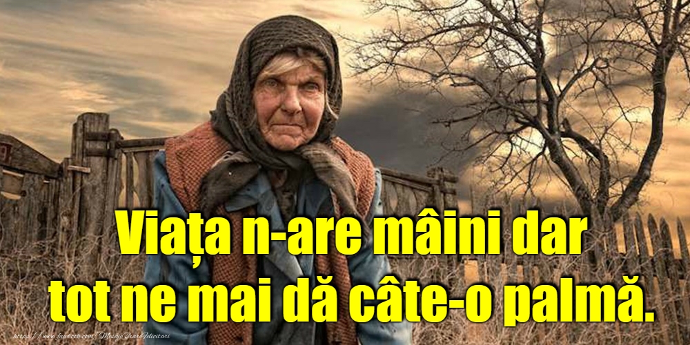 Stai acasă!