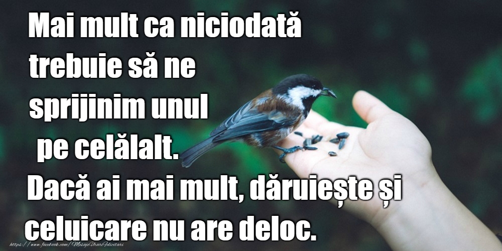 Totul va fi bine. Stai liniștit!