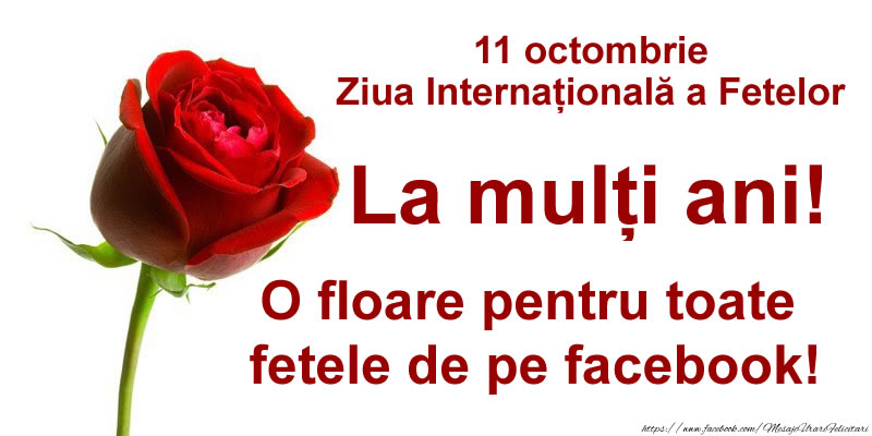 Felicitari Diverse - 11 octombrie Ziua Internațională a Fetelor - O floare pentru toate fetele de pe facebook! - mesajeurarifelicitari.com