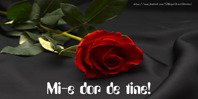 Felicitari de Dor - Mi-e dor de tine! - mesajeurarifelicitari.com