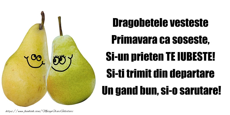 Va doresc un Dragobete Fericit!