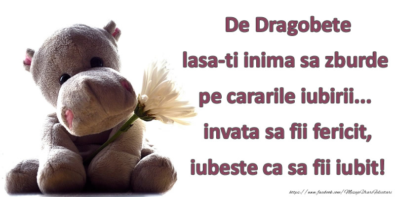 De Dragobete lasa-ti inima sa zburde pe cararile iubirii... invata sa fii fericit, iubeste ca sa fii iubit!