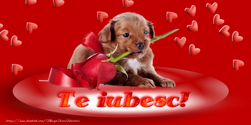 Va doresc un Dragobete Fericit!