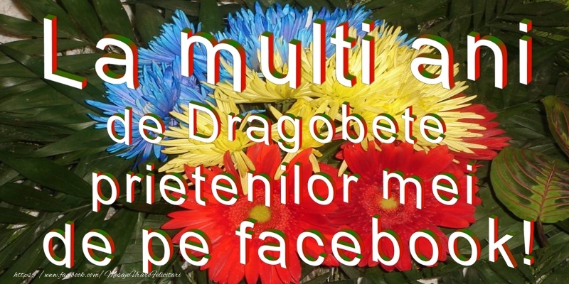 Va doresc un Dragobete Fericit!