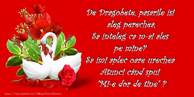 Va doresc un Dragobete Fericit!