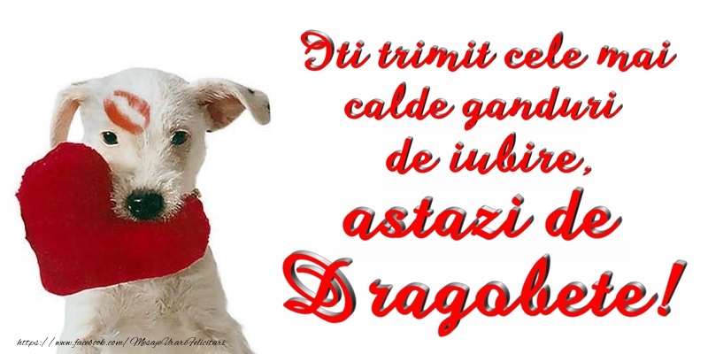 Va doresc un Dragobete Fericit!
